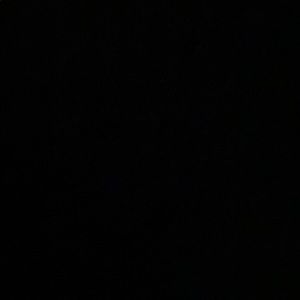 Meet your Posher, Reuben